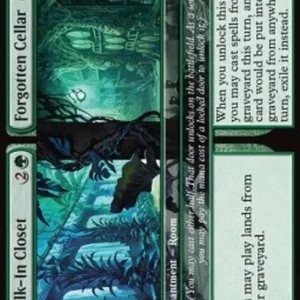 Magic: The Gathering Walk-In Closet // Forgotten Cellar
