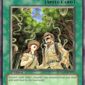 Yu-Gi-Oh! TAEV Snake Rain