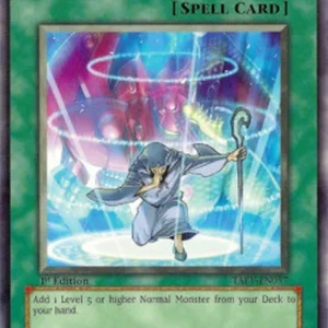 Yu-Gi-Oh! TAEV Summoner's Art