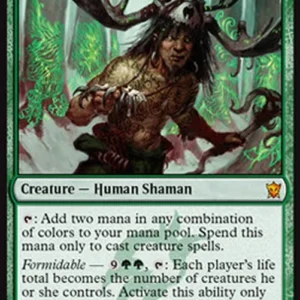 Magic: The Gathering Shaman of Forgotten Ways