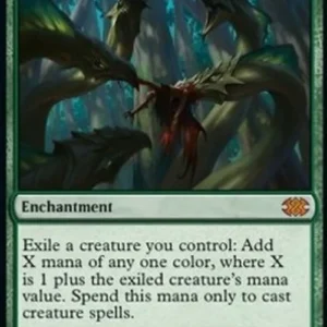 Magic: The Gathering Food Chain