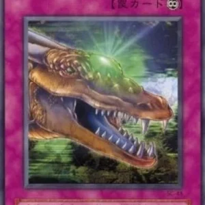 Yu-Gi-Oh! SC The Dragon's Bead