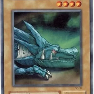 Yu-Gi-Oh! SC The Dragon Dwelling in the Cave