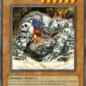 Yu-Gi-Oh! SDZW Ryu Kokki