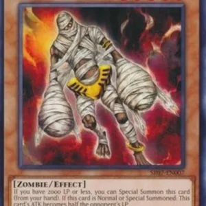 Yu-Gi-Oh! SR07 Endless Decay