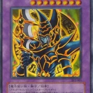 Yu-Gi-Oh! SY2 Dark Paladin