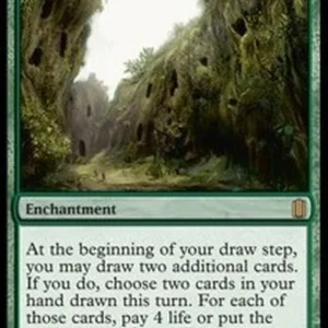 Magic: The Gathering Sylvan Library