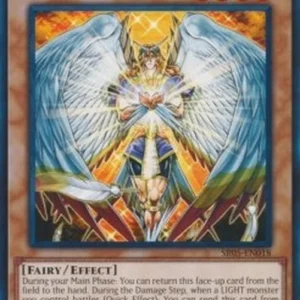 Yu-Gi-Oh! SR05 Honest