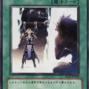 Yu-Gi-Oh! SD17 Double Summon
