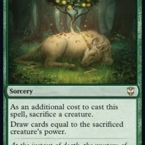Magic: The Gathering Life's Legacy