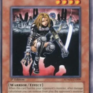 Yu-Gi-Oh! SDWS D.D. Warrior Lady