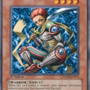 Yu-Gi-Oh! SDWS D.D. Warrior