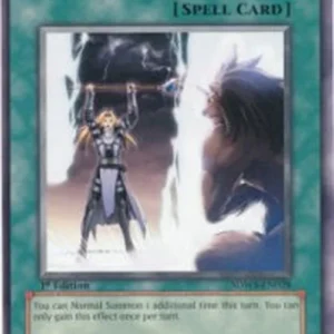 Yu-Gi-Oh! SDWS Double Summon