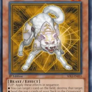 Yu-Gi-Oh! SDLI Ryko, Lightsworn Hunter