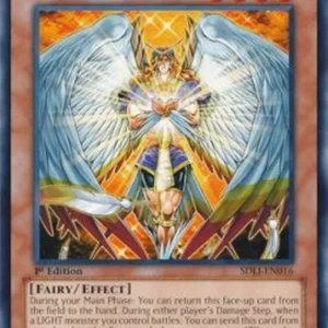 Yu-Gi-Oh! SDLI Honest