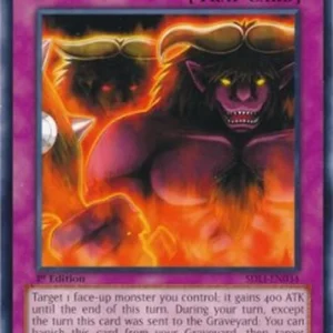 Yu-Gi-Oh! SDLI Skill Successor