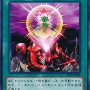 Yu-Gi-Oh! SD25 One for One