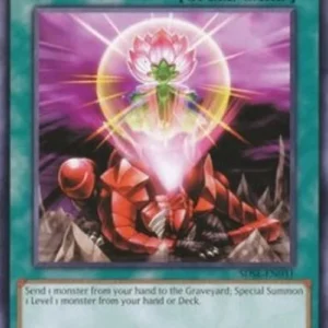Yu-Gi-Oh! SDSE One for One