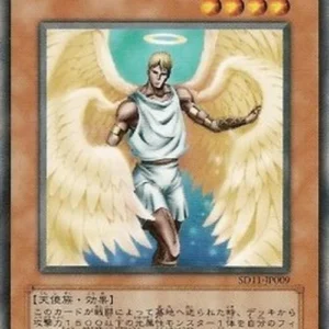 Yu-Gi-Oh! SD11 Shining Angel