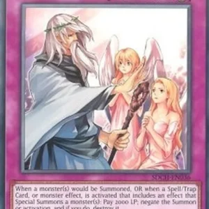 Yu-Gi-Oh! SDCH Solemn Warning