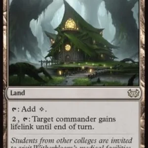 Magic: The Gathering Witch's Clinic