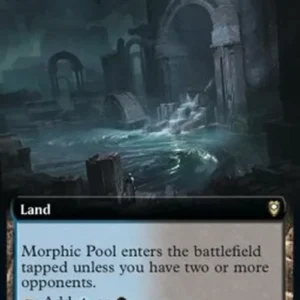 Magic: The Gathering Morphic Pool