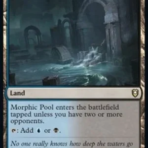 Magic: The Gathering Morphic Pool