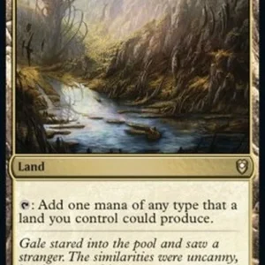 Magic: The Gathering Reflecting Pool