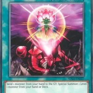 Yu-Gi-Oh! SDSA One for One