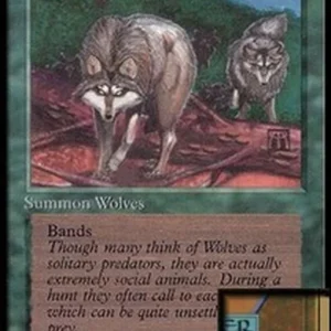 Magic: The Gathering Timber Wolves