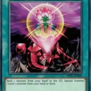 Yu-Gi-Oh! SDPL One for One