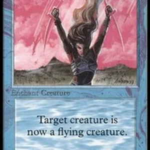 Magic: The Gathering Flight