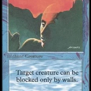 Magic: The Gathering Invisibility