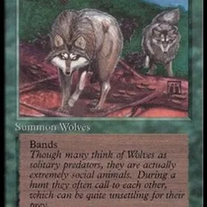 Magic: The Gathering Timber Wolves