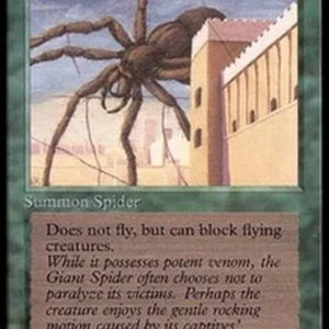 Magic: The Gathering Giant Spider