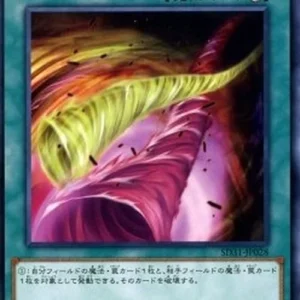 Yu-Gi-Oh! SD31 Double Cyclone