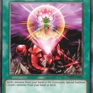 Yu-Gi-Oh! SDPD One for One