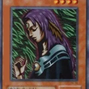 Yu-Gi-Oh! PE Witch of the Black Forest