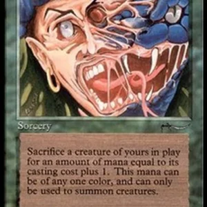 Magic: The Gathering Metamorphosis