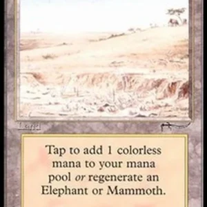 Magic: The Gathering Elephant Graveyard