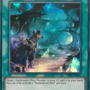 Yu-Gi-Oh! SR08 Dwimmered Path