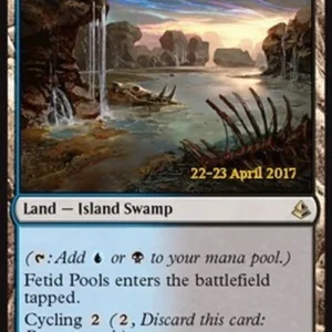 Magic: The Gathering Fetid Pools
