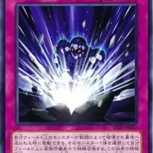 Yu-Gi-Oh! SD24 Regretful Rebirth