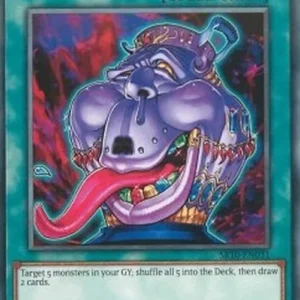 Yu-Gi-Oh! SR10 Pot of Avarice
