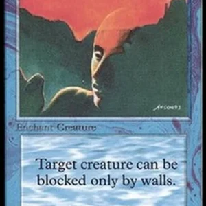 Magic: The Gathering Invisibility