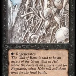 Magic: The Gathering Wall of Bone