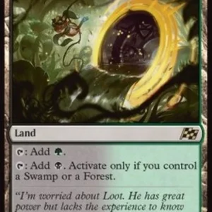 Magic: The Gathering Wastewood Verge