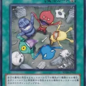 Yu-Gi-Oh! SD20 Solidarity