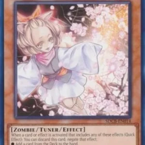 Yu-Gi-Oh! SDCB Ash Blossom & Joyous Spring