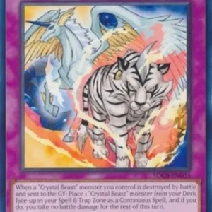 Yu-Gi-Oh! SDCB Crystal Pair